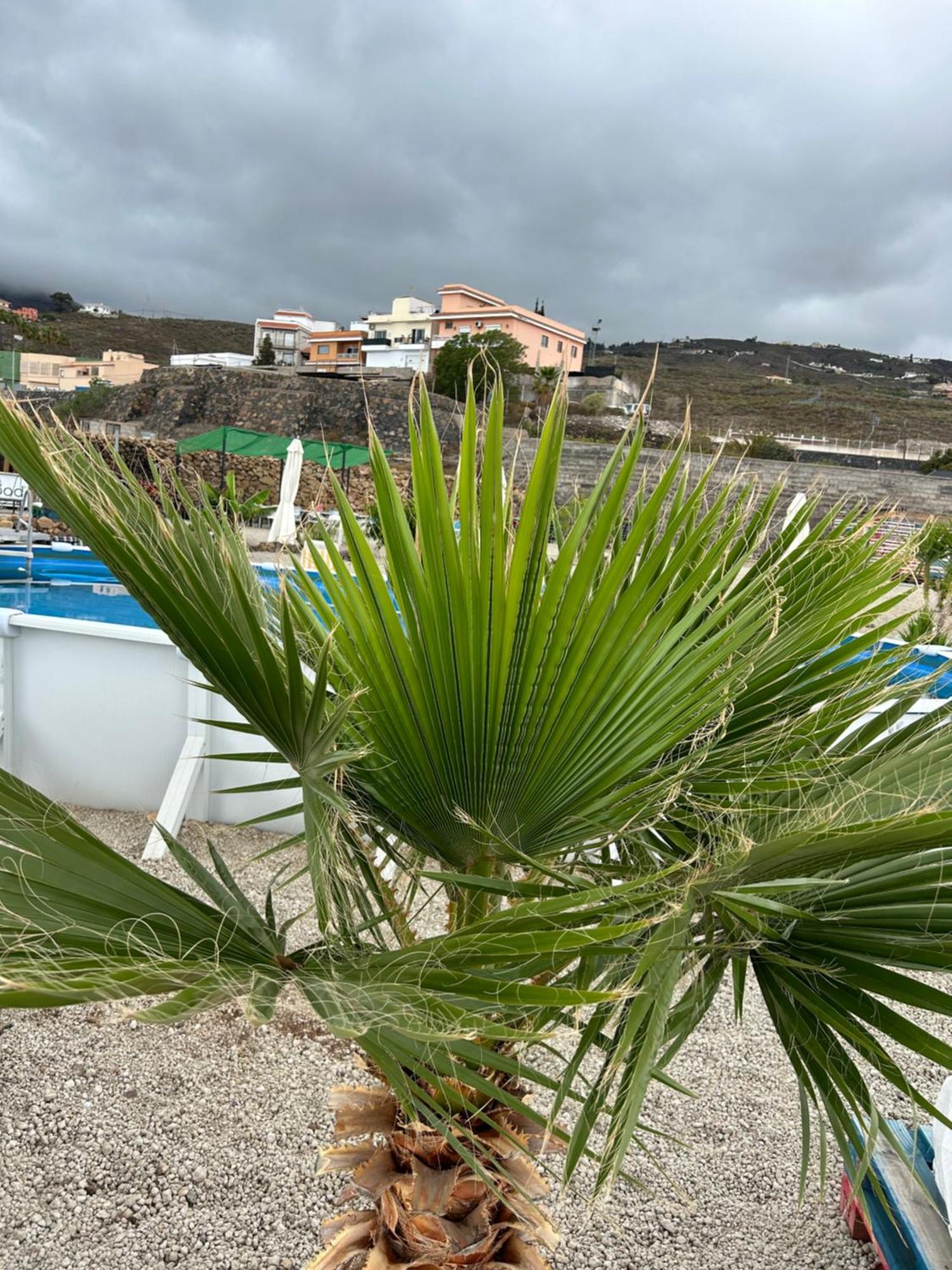 Casa Mirador Leilighet Arona  Eksteriør bilde