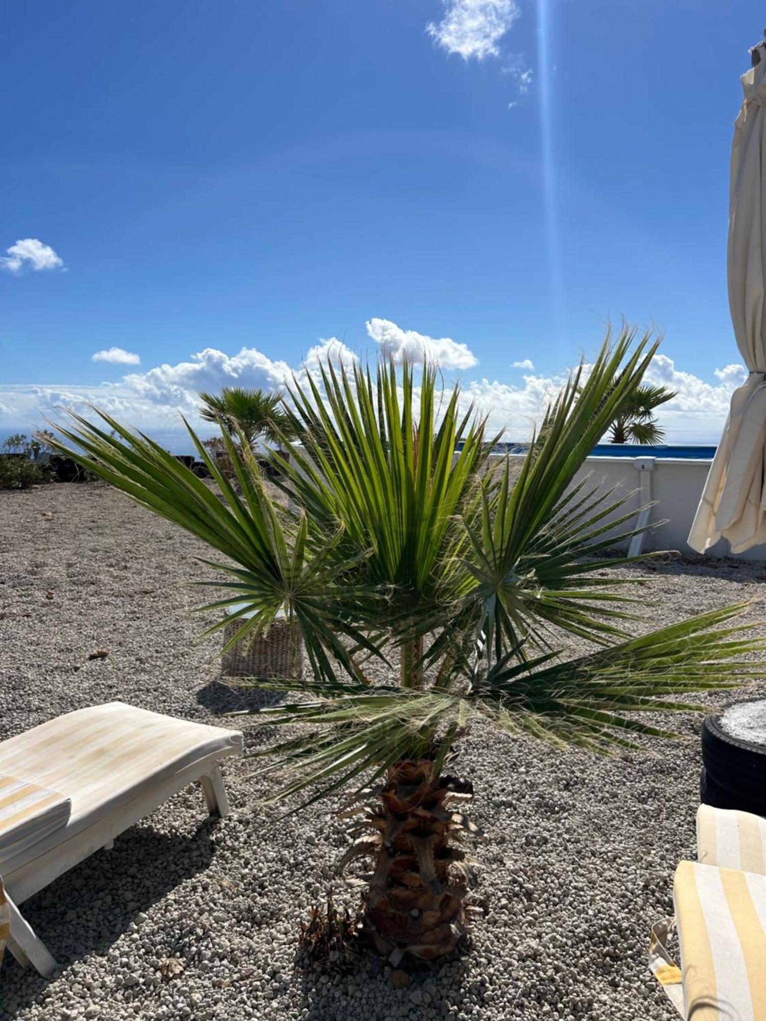 Casa Mirador Leilighet Arona  Eksteriør bilde